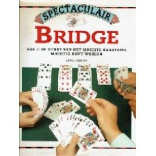 Spectaculair Bridge