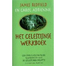 het celestijnse werkboek bij het tiende inzicht
