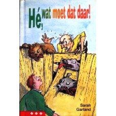 Hé, wat moet dat daar!