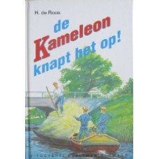 De Kameleon knapt het op!