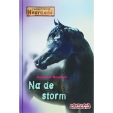 Na de storm