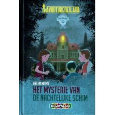 Het mysterie van de nachtelijke schim