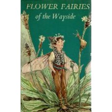 Flower Fairies of the Wayside
