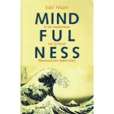 Mindfulness In de maalstroom van je leven