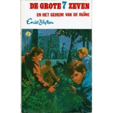 De grote zeven en het geheim van de ruine