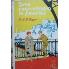 Twee zwervelingen in Amerika