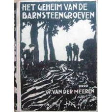 Het geheim van de barnsteengroeve