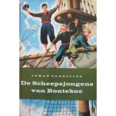 De Scheepsjongens van Bontekoe