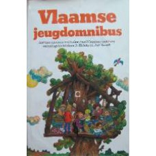 Vlaamse jeugdomnibus