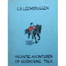 Vacantie-avonturen op Goenoeng Tiga